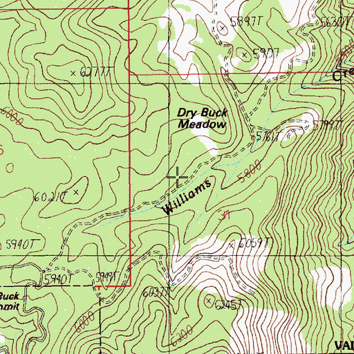 Topographic Map of Dry Buck Meadow, ID