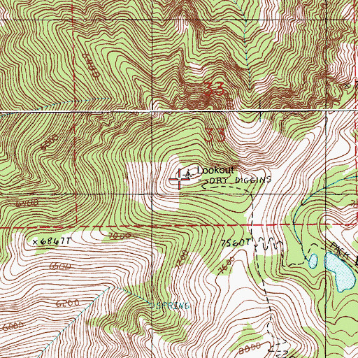 Topographic Map of Dry Diggins Lookout, ID