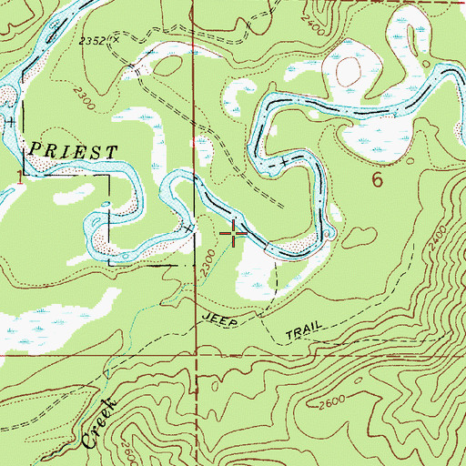 Topographic Map of Dubius Creek, ID