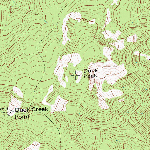 Topographic Map of Duck Peak, ID