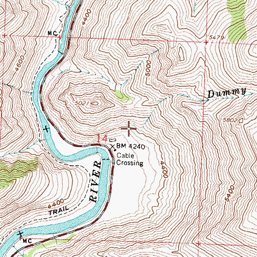 Topographic Map of Dummy Creek, ID
