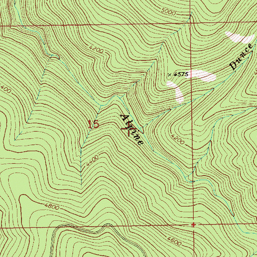 Topographic Map of Dunce Creek, ID