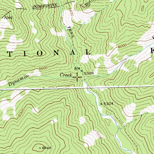 Topographic Map of Dynamite Creek, ID