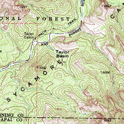 Topographic Map of Taylor Basin, AZ