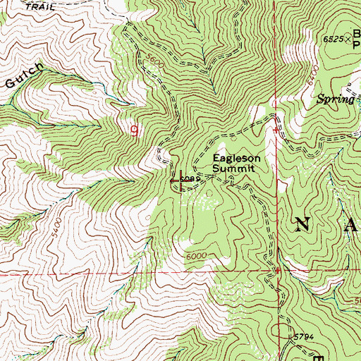 Topographic Map of Eagleson Summit, ID