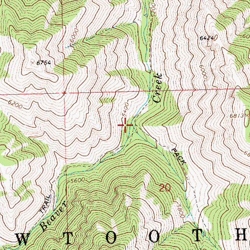 Topographic Map of East Fork Beaver Creek, ID