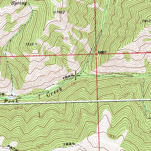 Topographic Map of East Fork Big Peak Creek, ID
