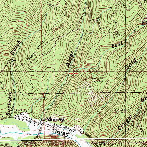 Topographic Map of East Fork Alder Gulch, ID