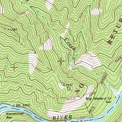 Topographic Map of East Fork Big Mallard Creek, ID