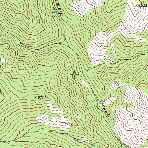 Topographic Map of East Fork Big Ramey Creek, ID