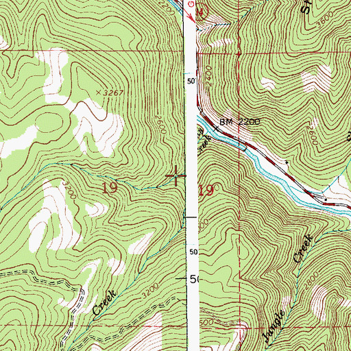 Topographic Map of East Fork Bully Creek, ID