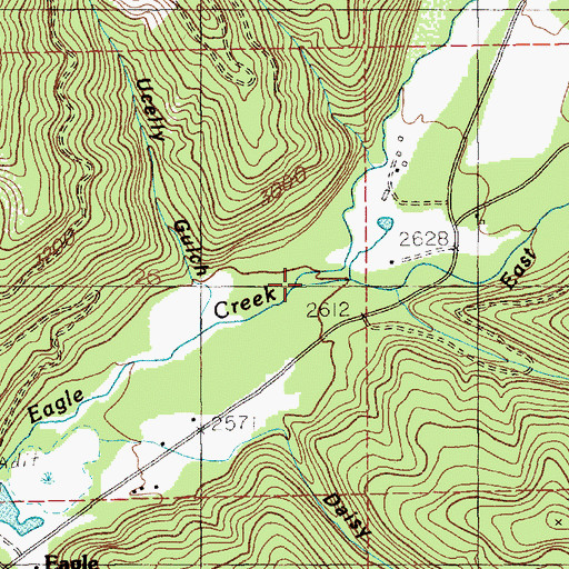 Topographic Map of East Fork Eagle Creek, ID