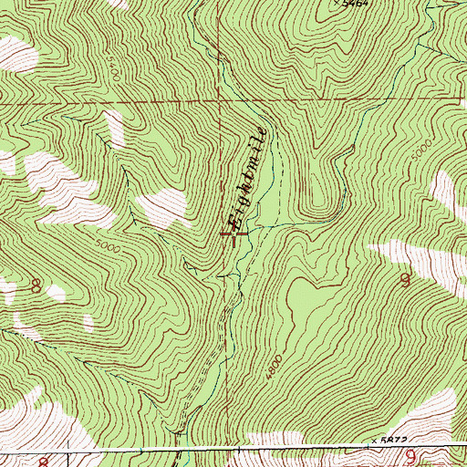 Topographic Map of East Fork Eightmile Creek, ID