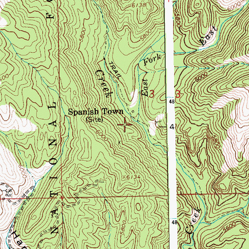 Topographic Map of East Fork Elk Creek, ID