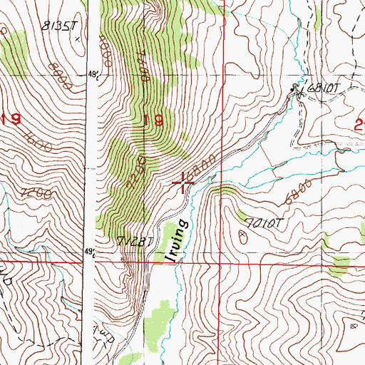 Topographic Map of The Bull Pen, ID
