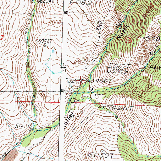 Topographic Map of East Fork Kirtley Creek, ID