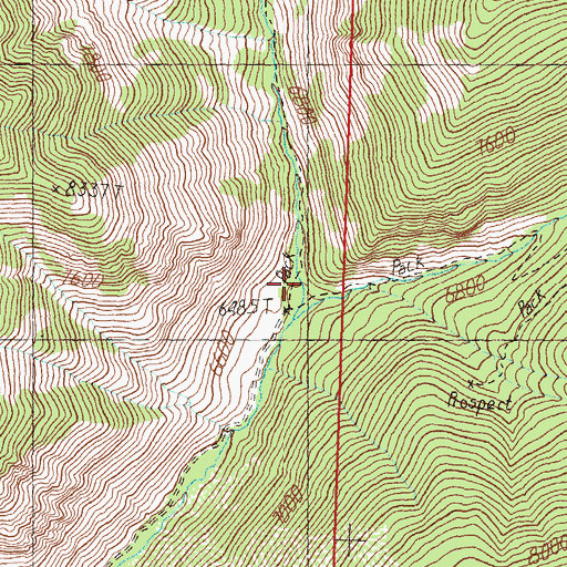 Topographic Map of East Fork Patterson Creek, ID