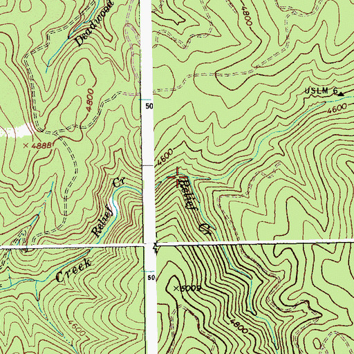Topographic Map of East Fork Relief Creek, ID