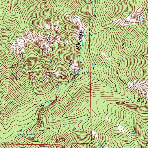 Topographic Map of East Fork Sheep Creek, ID