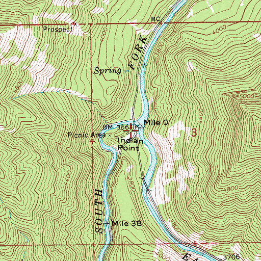 Topographic Map of East Fork South Fork Salmon River, ID