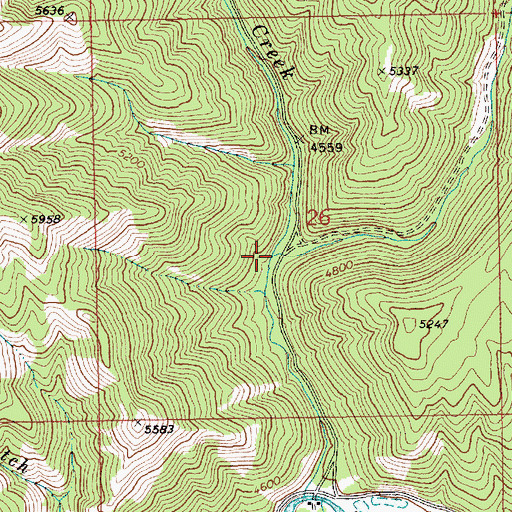 Topographic Map of East Fork Swanholm Creek, ID