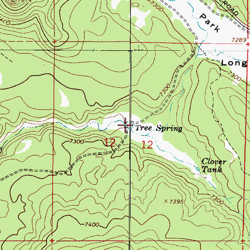 Topographic Map of Tree Spring, AZ
