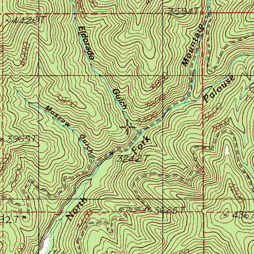 Topographic Map of Eldorado Gulch, ID
