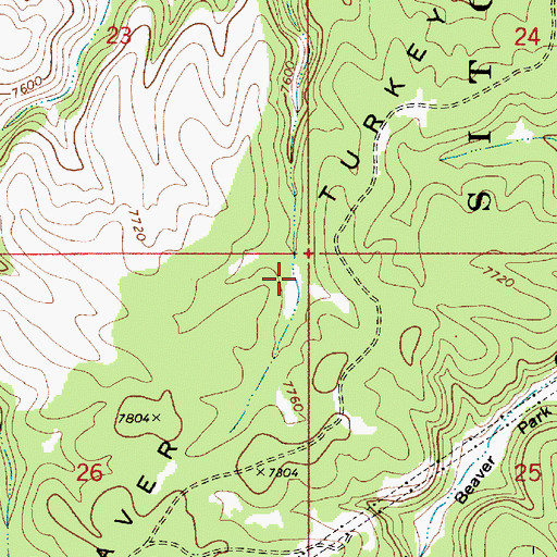 Topographic Map of Turkey Tree Tank, AZ