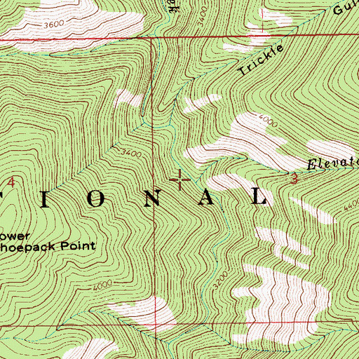 Topographic Map of Elevator Creek, ID