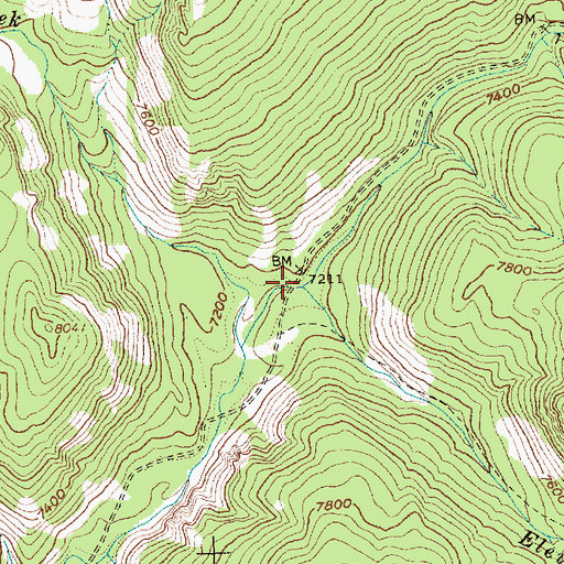 Topographic Map of Elevenmile Creek, ID