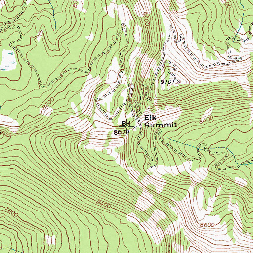 Topographic Map of Elk Summit, ID