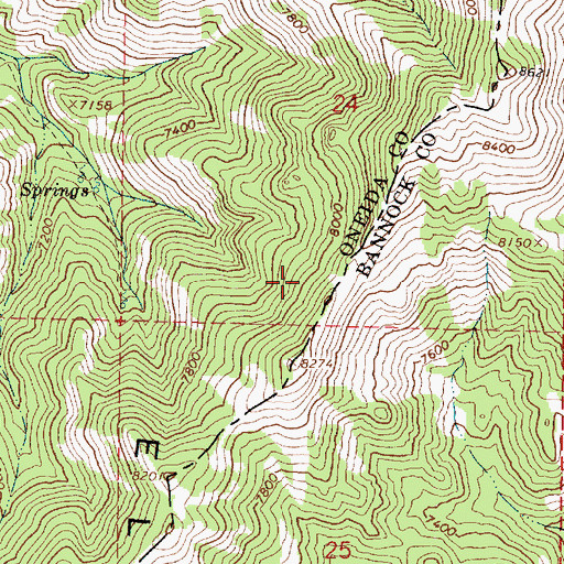 Topographic Map of Elkhorn Mountain, ID