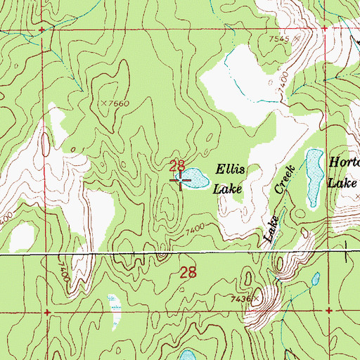 Topographic Map of Ellis Lake, ID