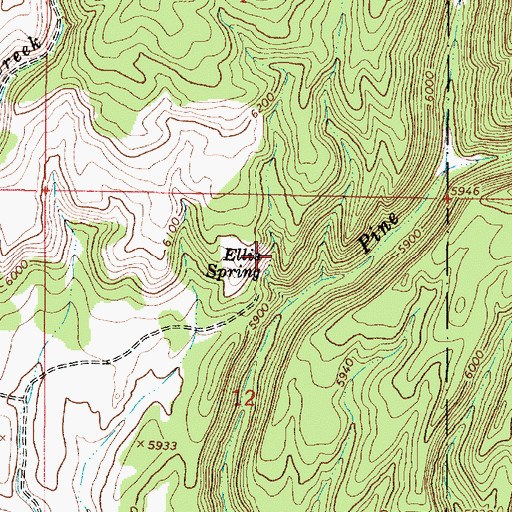 Topographic Map of Ellis Spring, ID