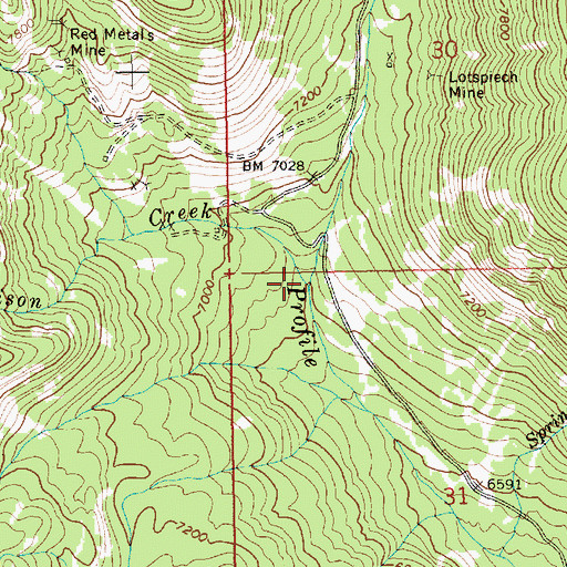 Topographic Map of Ellison Creek, ID