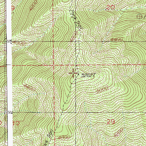 Topographic Map of Elsie Peak, ID