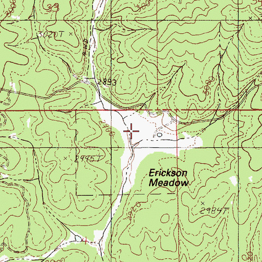 Topographic Map of Erickson Meadow, ID