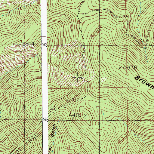 Topographic Map of Evolution Trail, ID