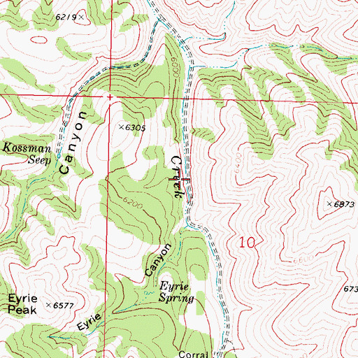 Topographic Map of Eyrie Canyon, ID