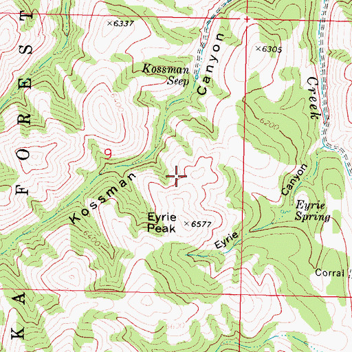 Topographic Map of Eyrie Peak, ID