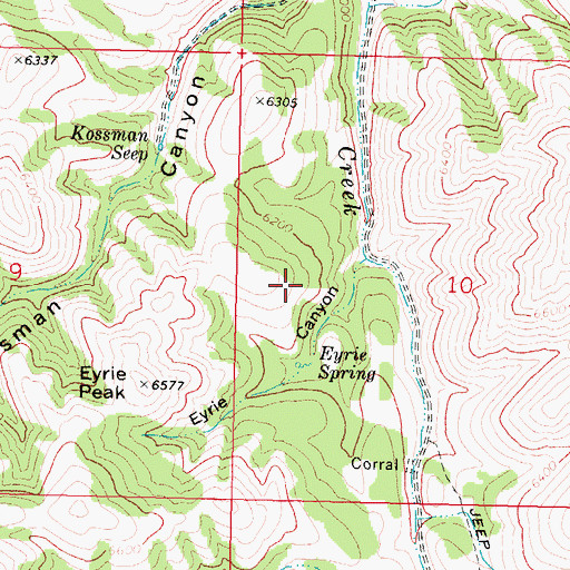 Topographic Map of Eyrie Spring, ID