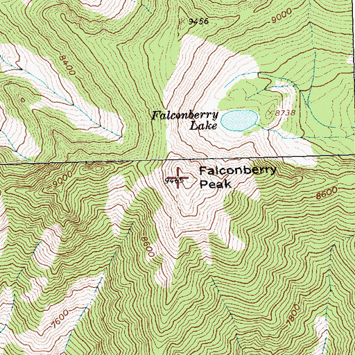 Topographic Map of Falconberry Peak, ID