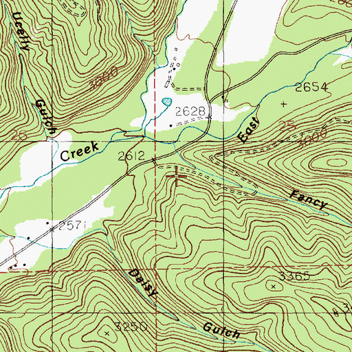 Topographic Map of Fancy Gulch, ID