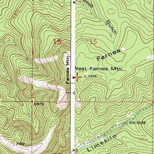 Topographic Map of Farnes Mountain, ID