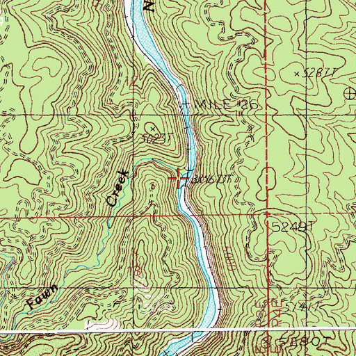 Topographic Map of Fawn Creek, ID