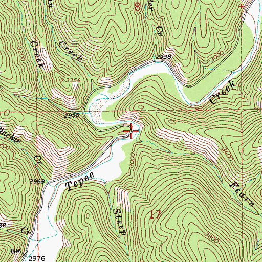 Topographic Map of Fearn Creek, ID