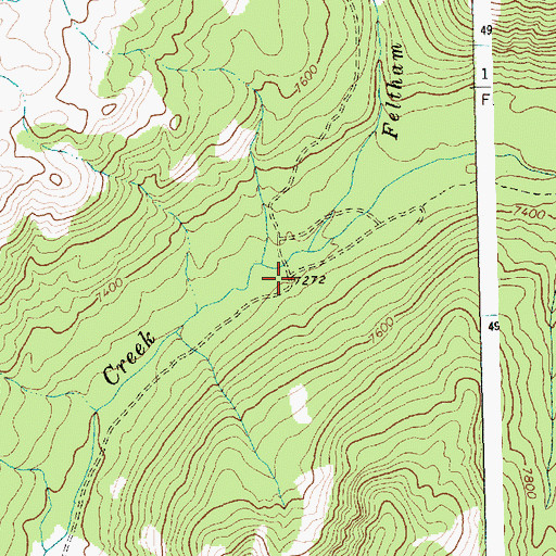 Topographic Map of Feltham Creek, ID
