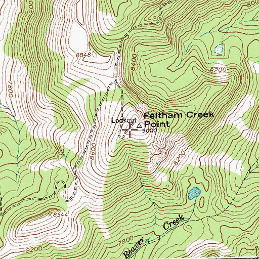 Topographic Map of Feltham Creek Point, ID