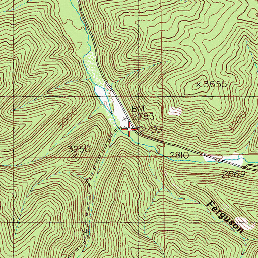 Topographic Map of Ferguson, ID