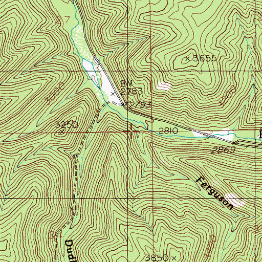 Topographic Map of Ferguson Creek, ID